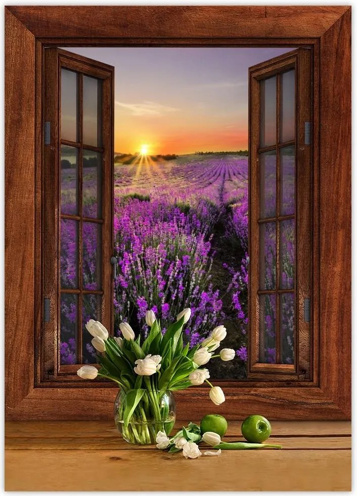 Poszterek 50x70 Levendulamező Nyugat