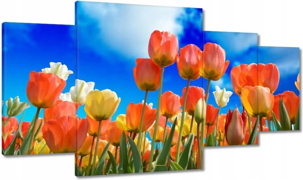 Vászonkép 160x90 Színes tulipánok