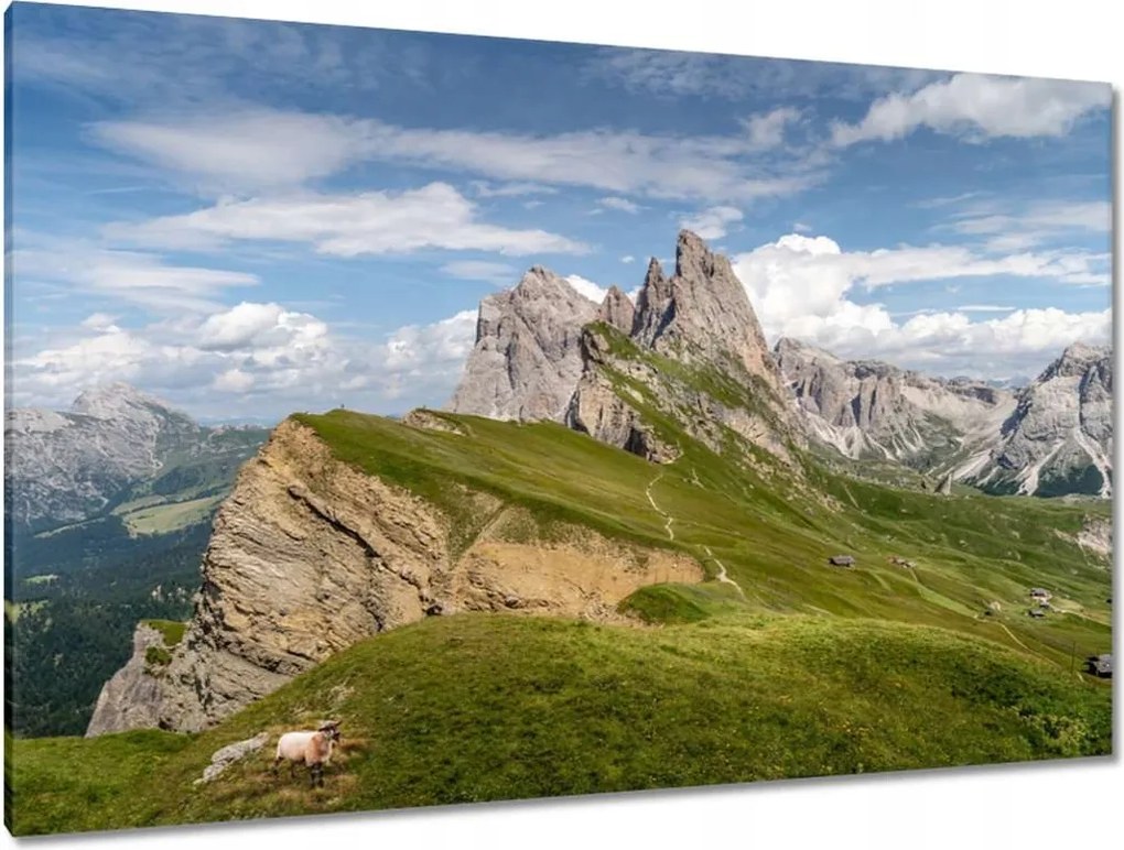 Képek 120x80 Bárány a hegyekben Hegyek Kilátás