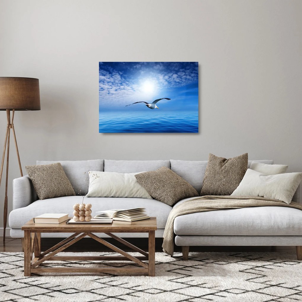 Üveg kép - Sirály a tenger felett (70x50 cm)