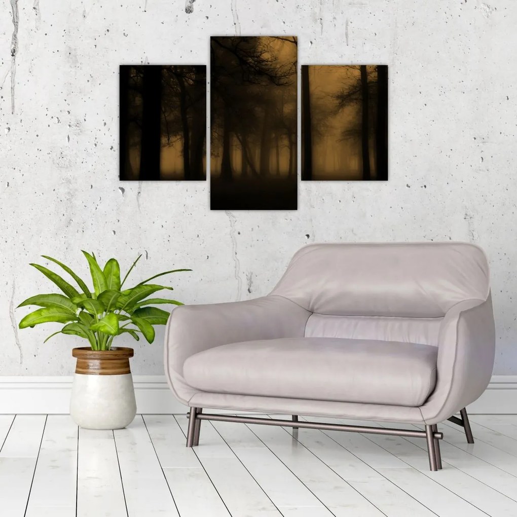 Kép - Sötét erdő (90x60 cm)