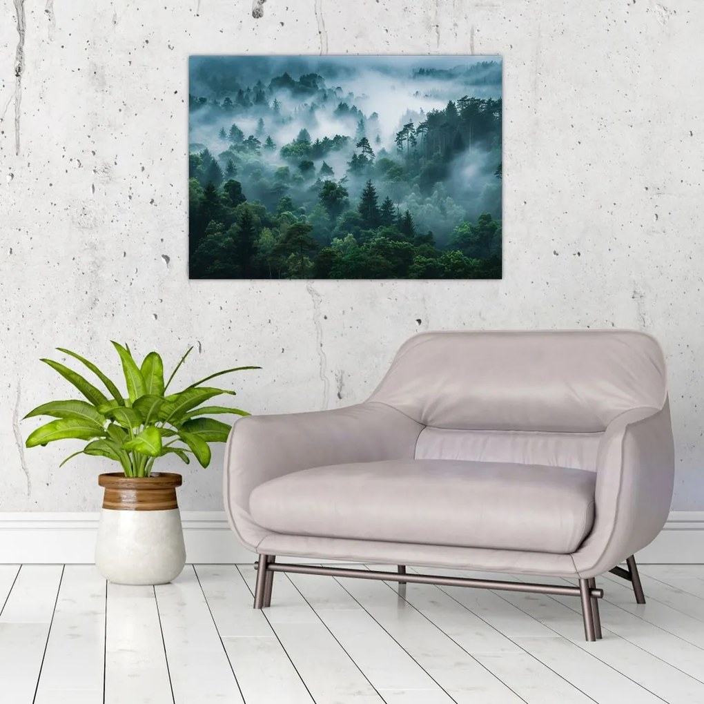 Üveg kép - Erdő ködben (70x50 cm)