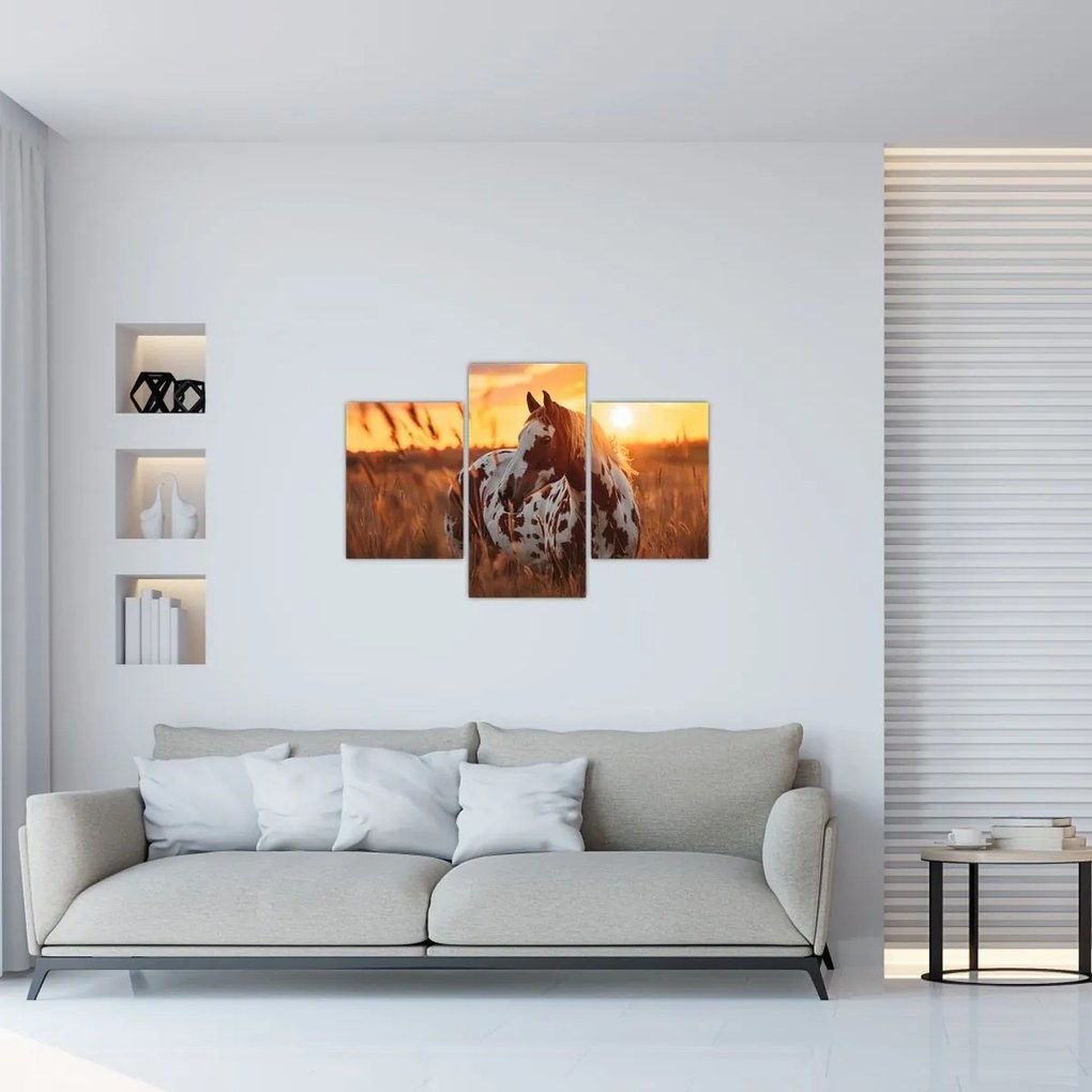 Kép - Ló naplementében (90x60 cm)