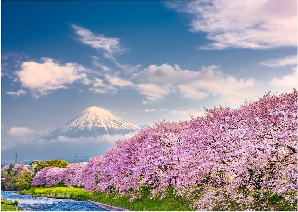 Kép - Japán tavaszi táj (70x50 cm)