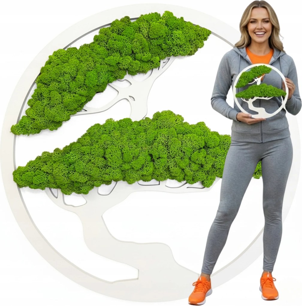 Mohafa Kép élő moha Stabilizált Bonsai Dekoráció