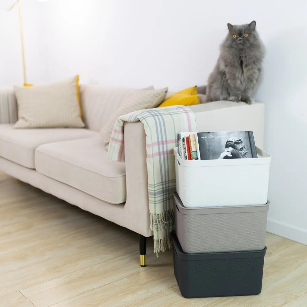 Műanyag tárolódoboz fedéllel Deco - Rotho