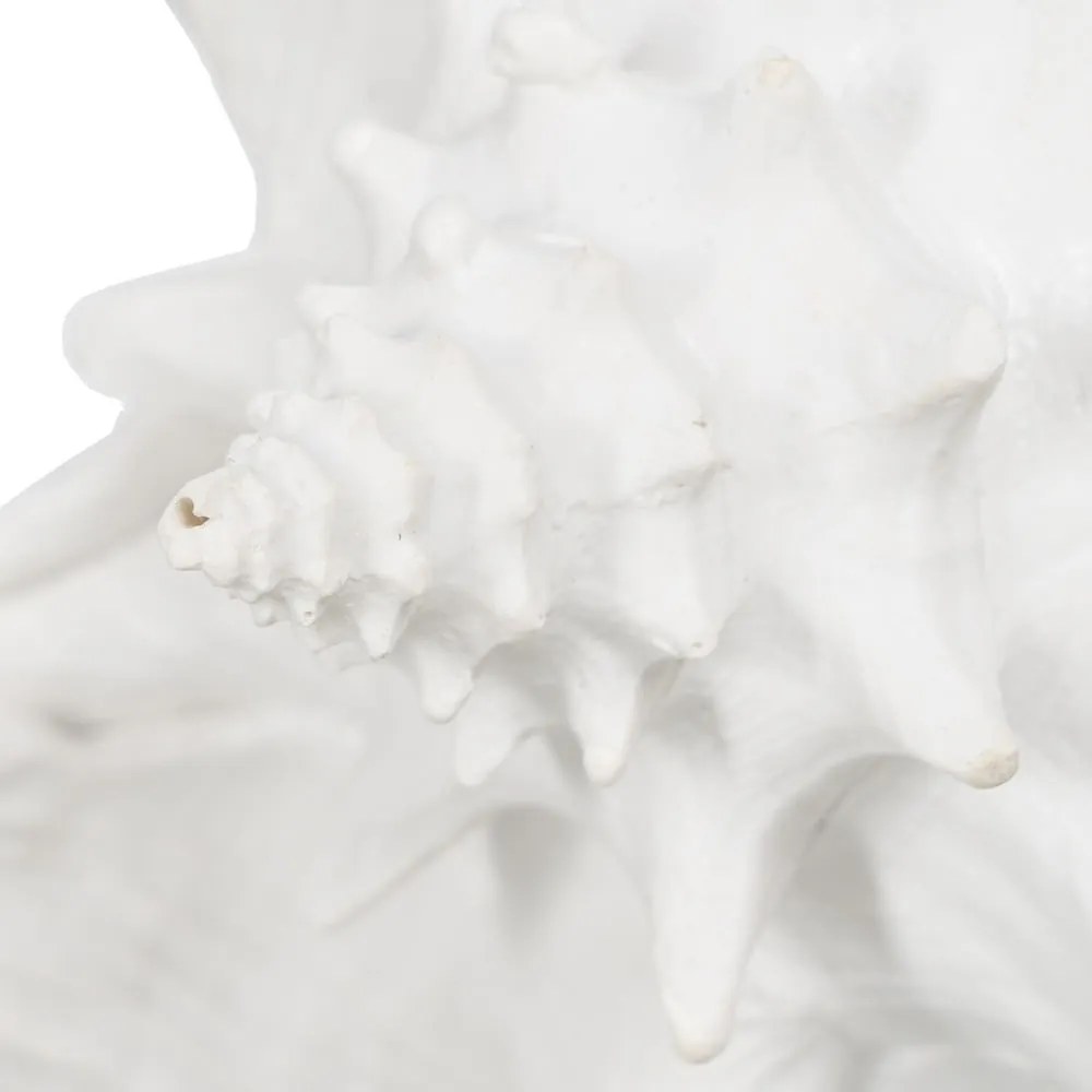 Poligyanta szobor (magasság 13 cm) Seashell – Ixia