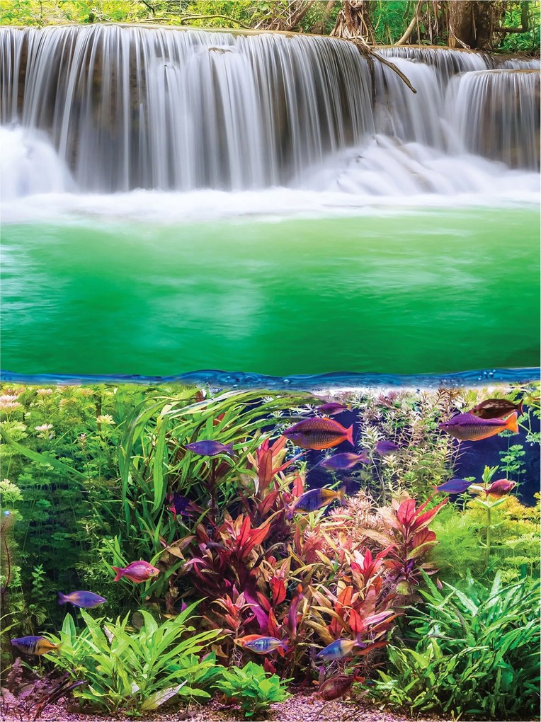 Fotótapéta flizelina Vízesés Akvárium Halak Növények Egzotika 184x254 +ragasztó