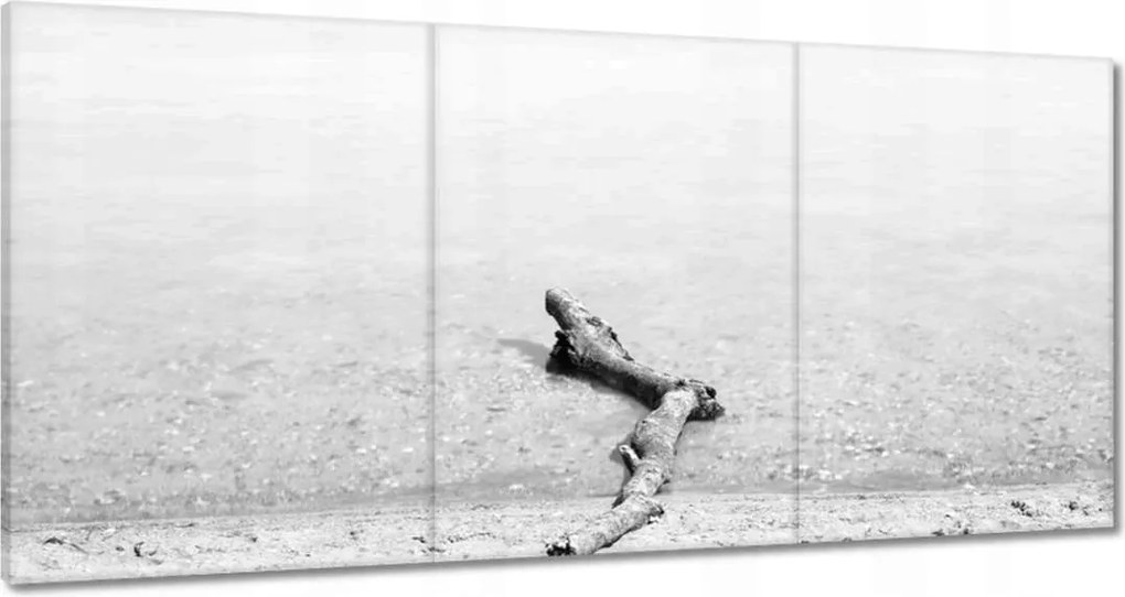 Vászonkép 180x90 Gyökér tengerpart Gyökér víz