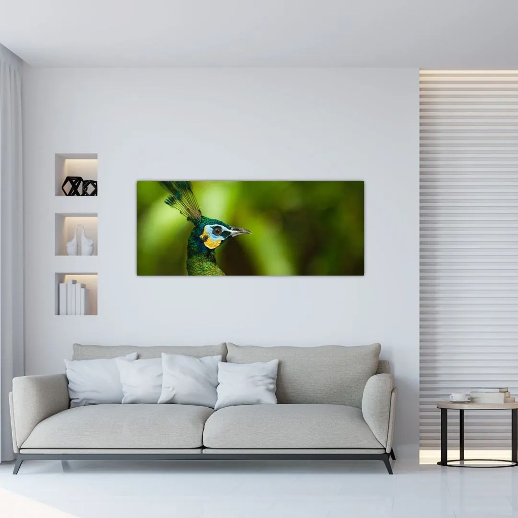 Páva képe (120x50 cm)