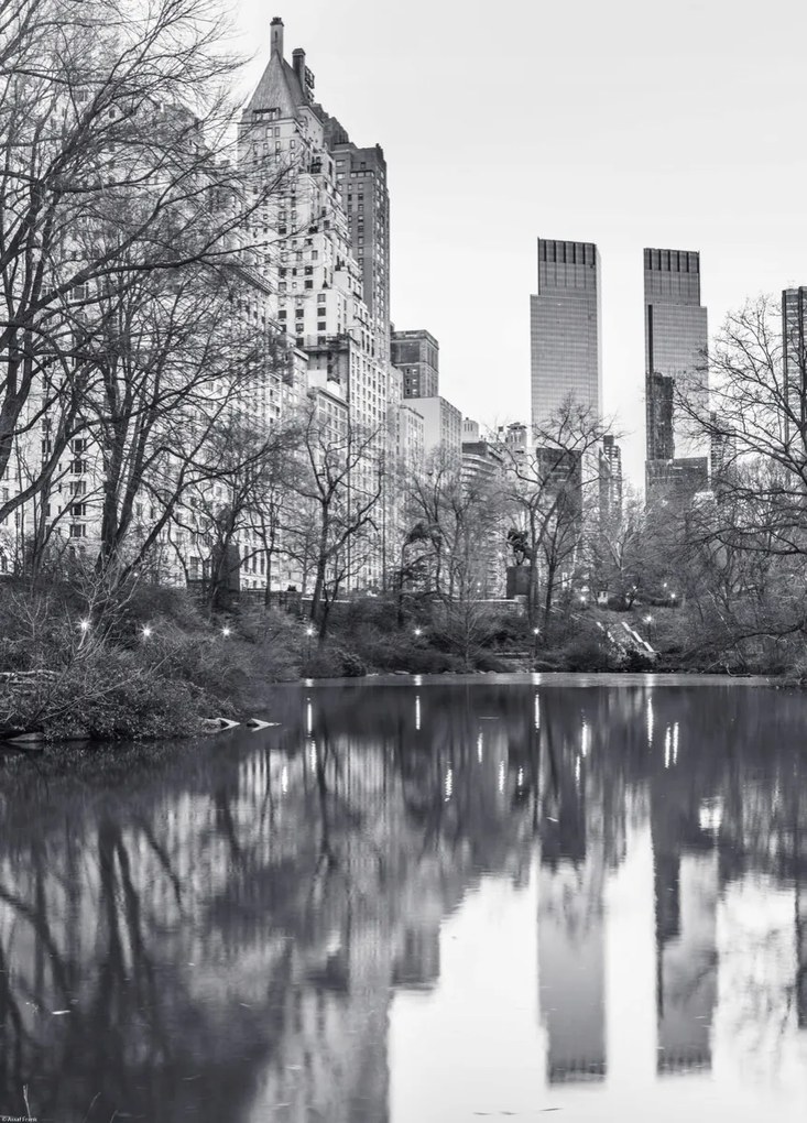 Poszter 39,5x55cm Központi park Manhattan panorámával 4, Assaf Frank