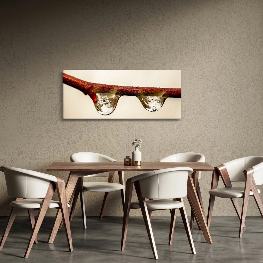 Vízcseppek a faágon képe (120x50 cm)