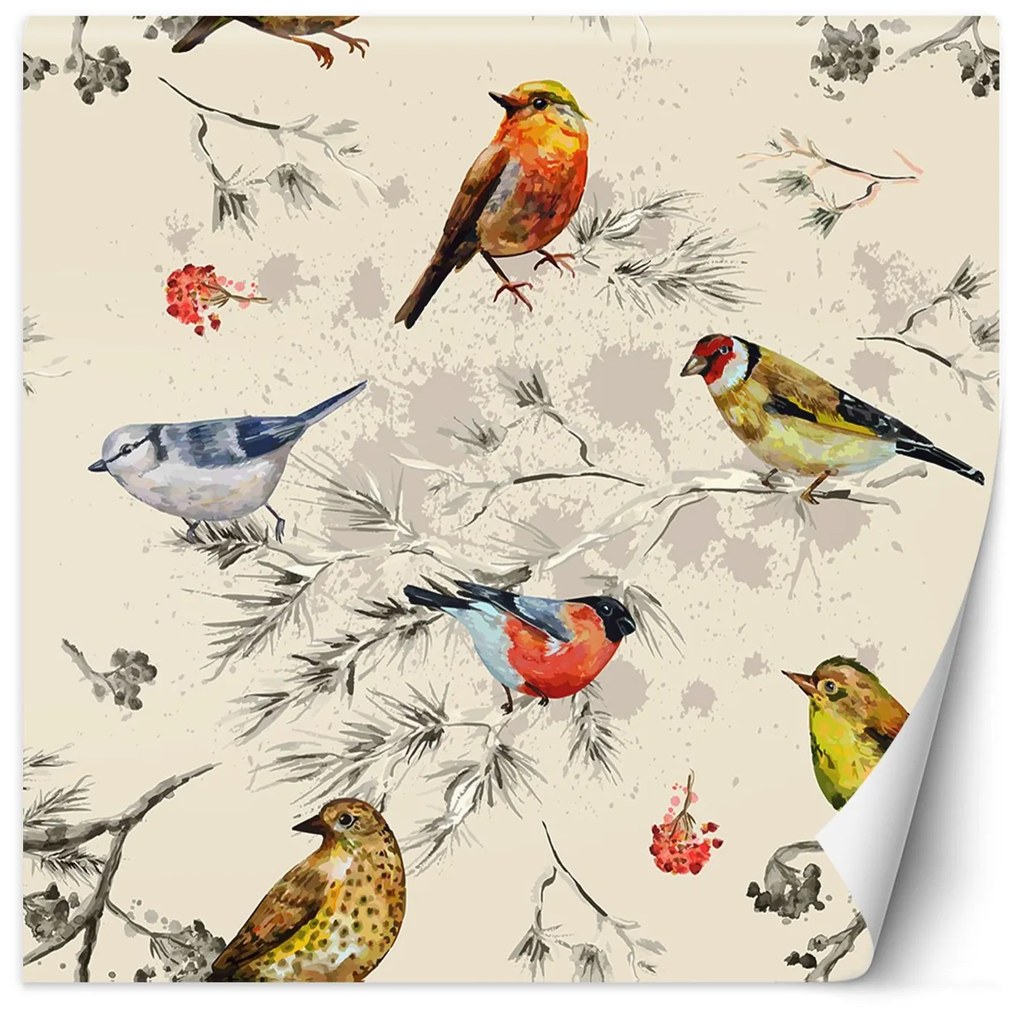 Gario Fotótapéta Színes madarak akvarellel festve Anyag: Vlies, Méret: 200 x 200 cm