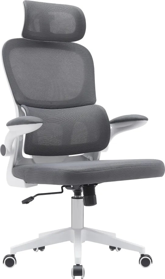 Irodai szék, sötétszürke/fehér, RENARD