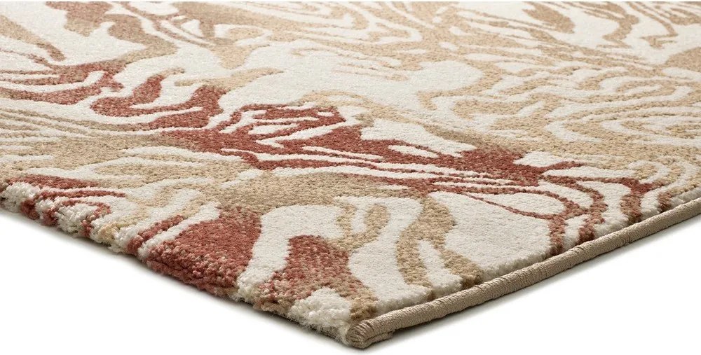 Bézs-terrakotta színű szőnyeg 80x150 cm Astra – Universal