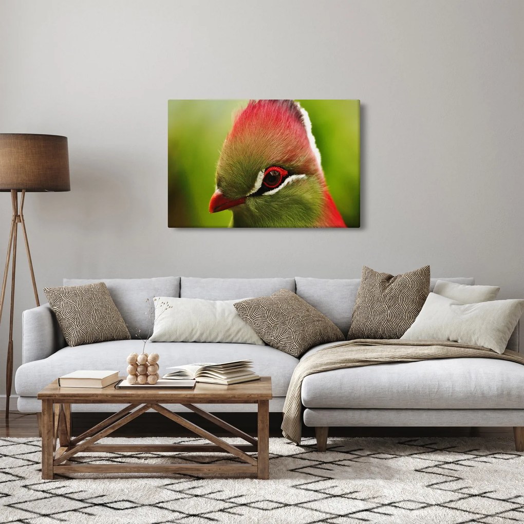 Színes madár képe (90x60 cm)