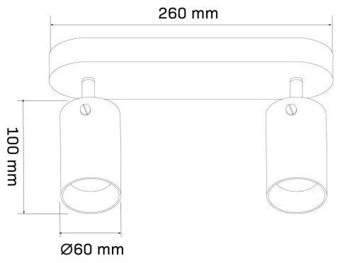 Spotlámpa SMOKY 2xGU10/10W/230V fekete