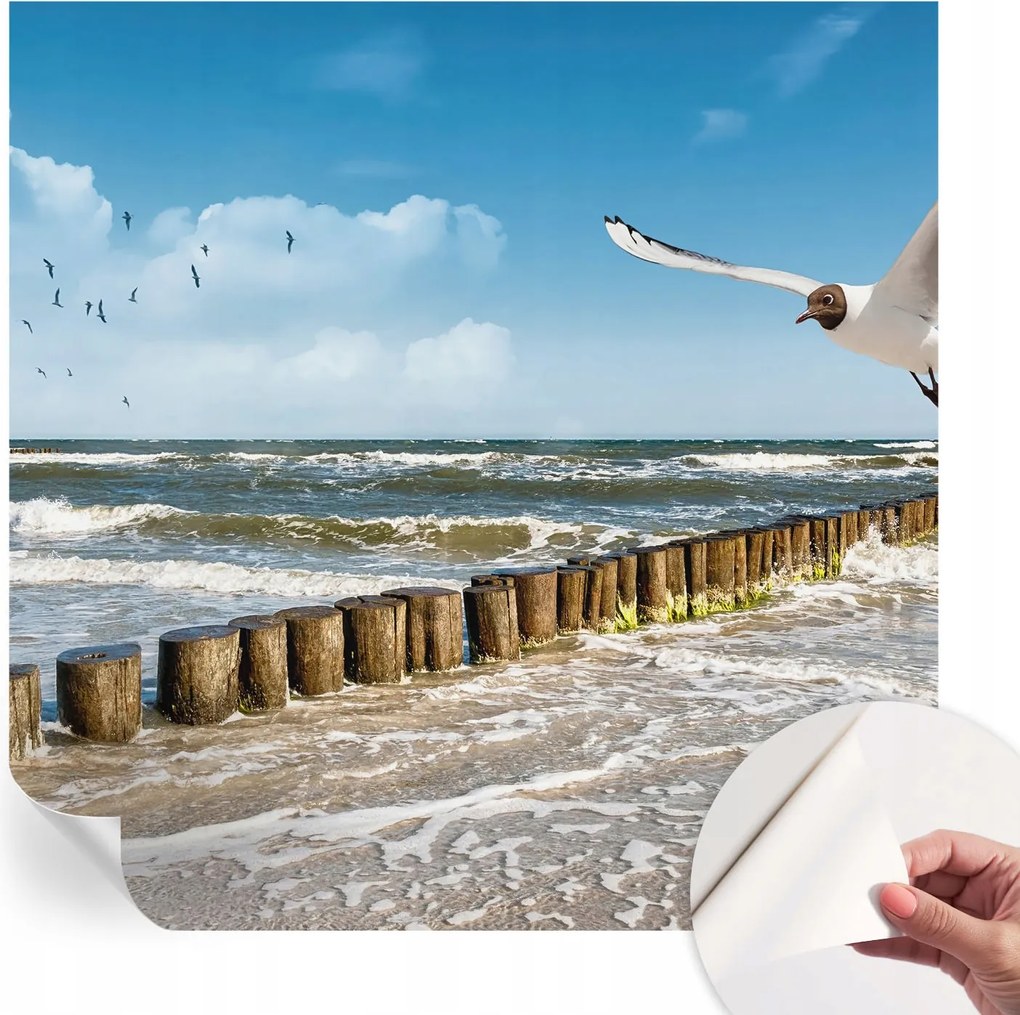 Fotótapéta Öntapadós Dekoratív tapéta Tengerparti tájkép 250x250 cm