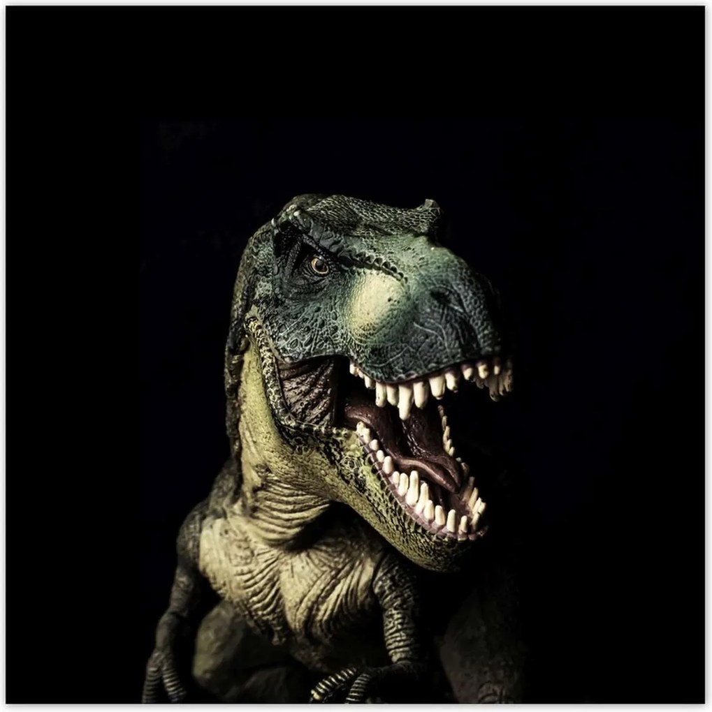 Poszter 70x70 Tyrannosaurus-t-rex fekete