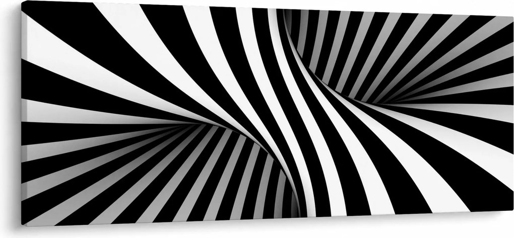 Absztrakt kép zebra csíkokkal (120x50 cm)