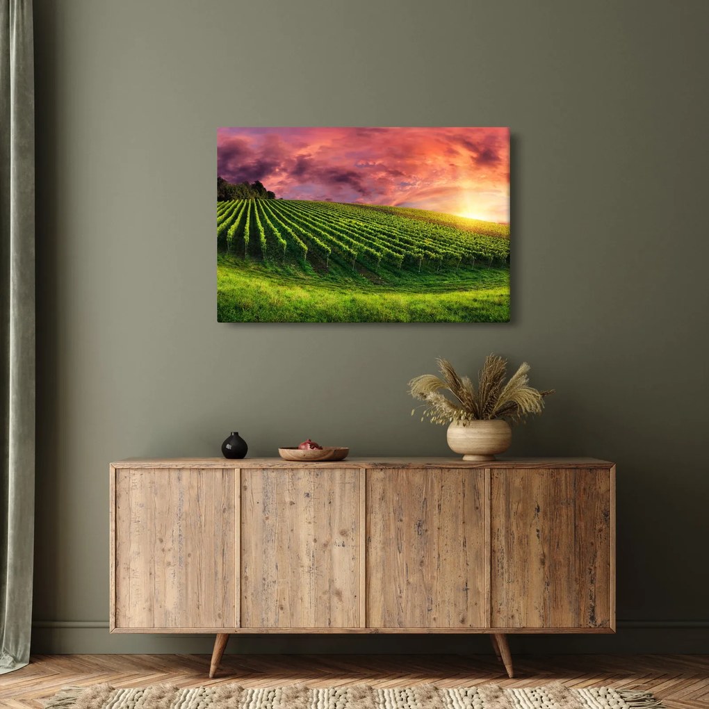 Szőlőskert és a színes égbolt képe (90x60 cm)