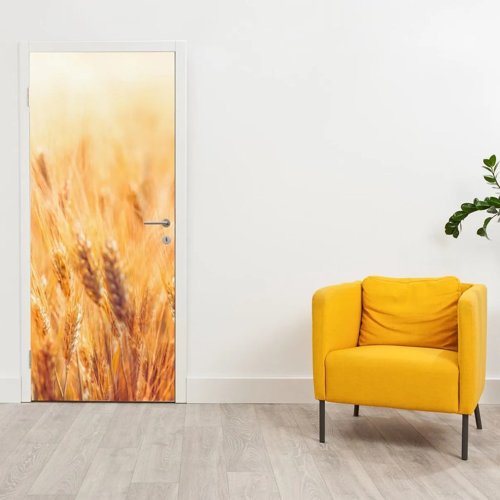 Fotótapéta ajtóra - Mező gabonával (95x205cm)