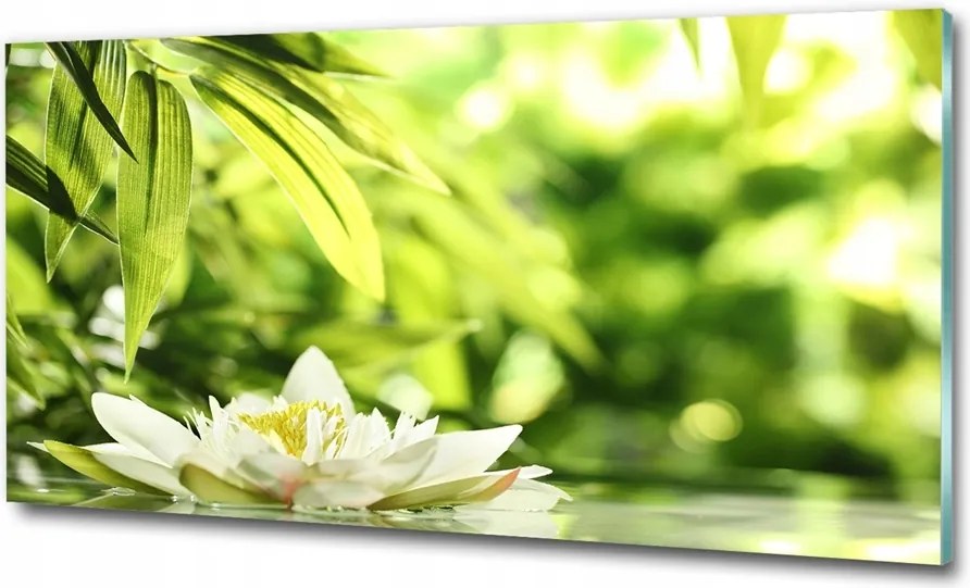 Fotó üvegkép Pitypang magok 100x70