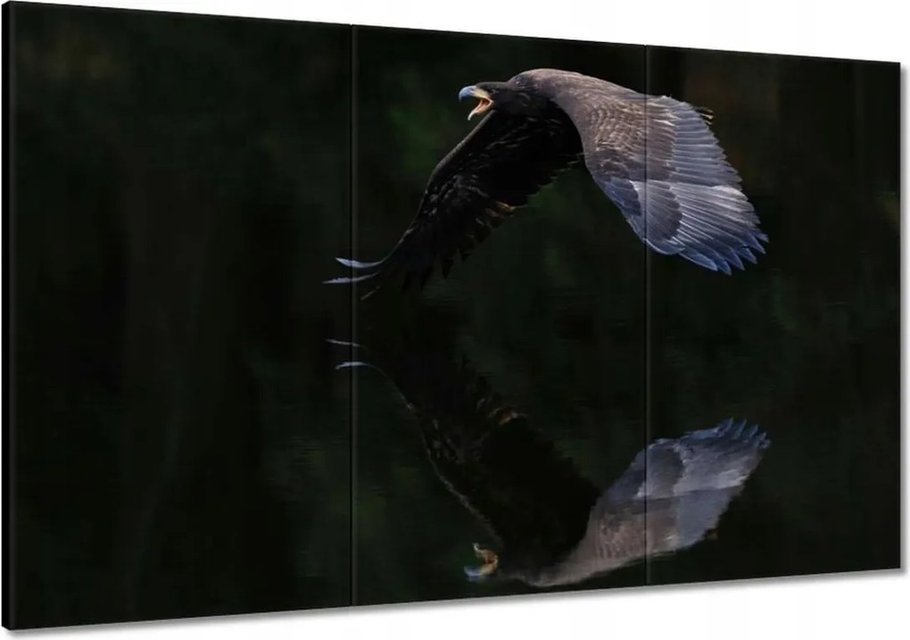 Vászonkép 120x80 Madarak