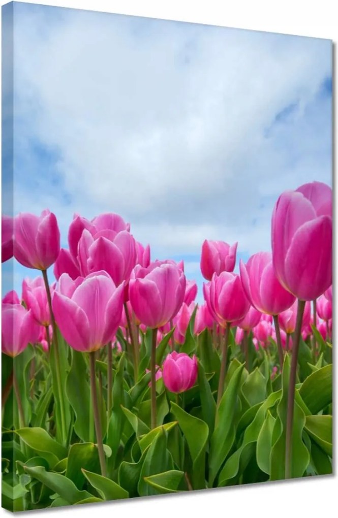 Vászonkép 30x40 Tulipánok Virágok