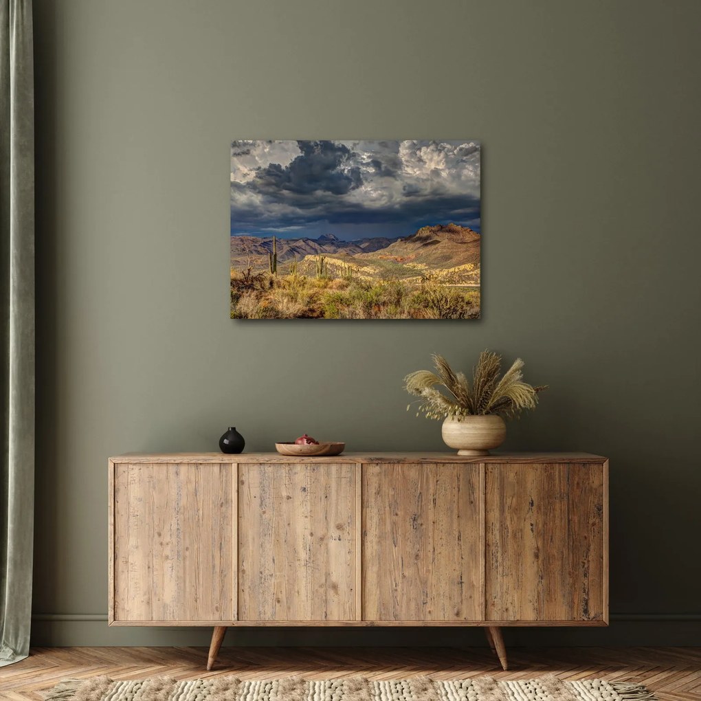 Kép - kaktuszok a természetben (70x50 cm)