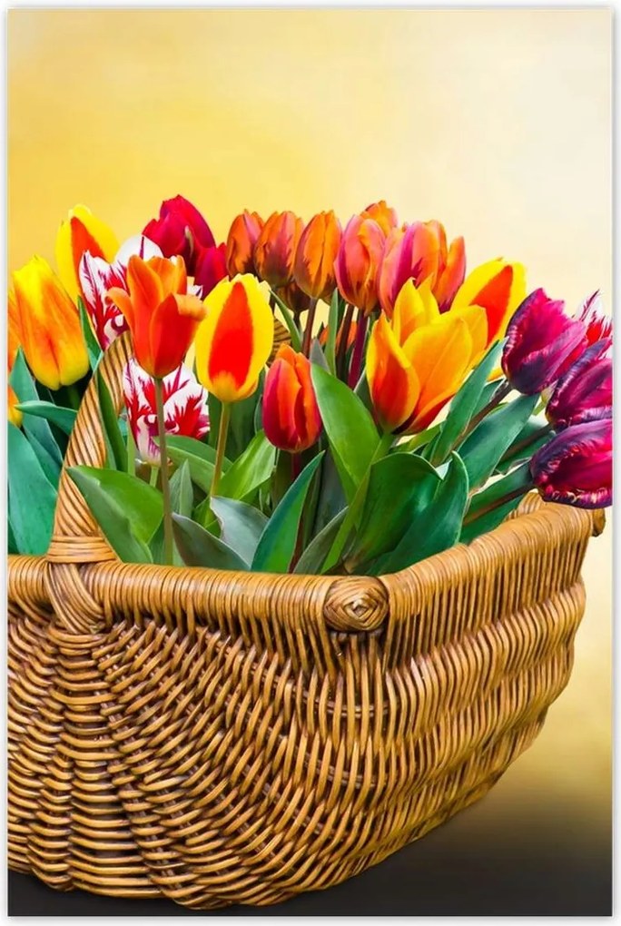 Poszterek 80x120 Tulipánok Virágok