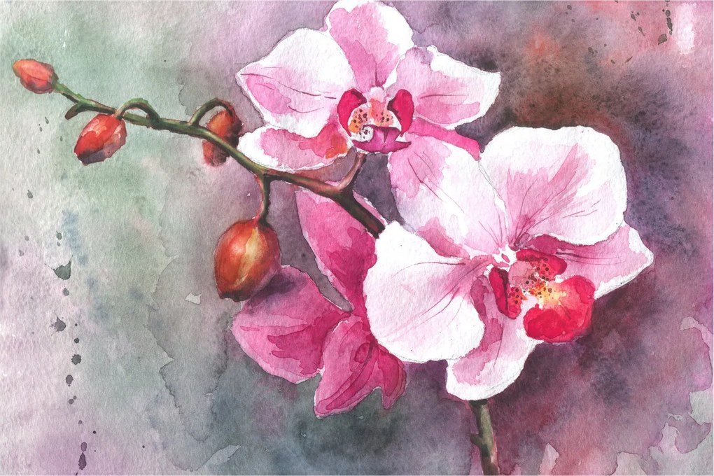 Kép - Orchideák, akvarell (90x60 cm)