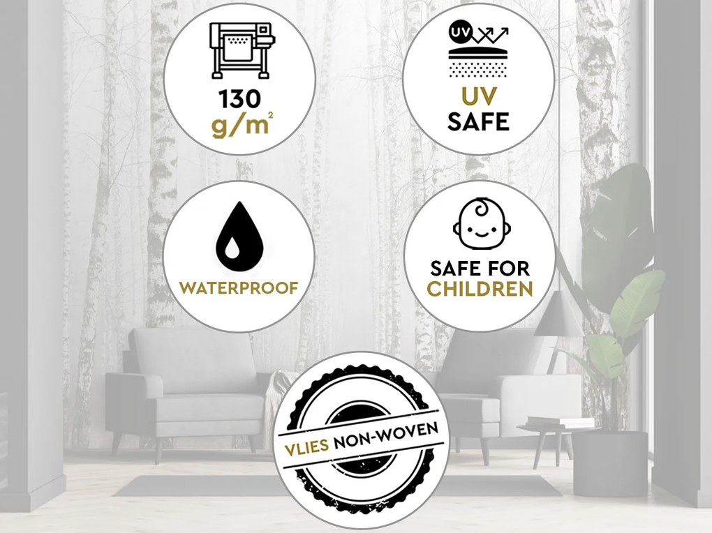 Gario Fotótapéta Nyírfaerdő a ködben Anyag: Vlies, Méret: 300 x 210 cm