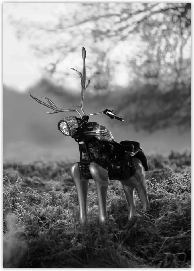 Poszterek A4 Pion Szarvas Modern művészet