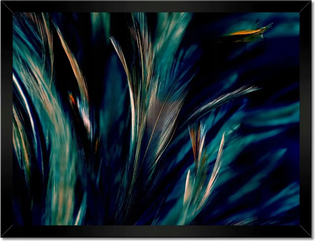 Poszterek keretben 40x30 Puha pávatollak