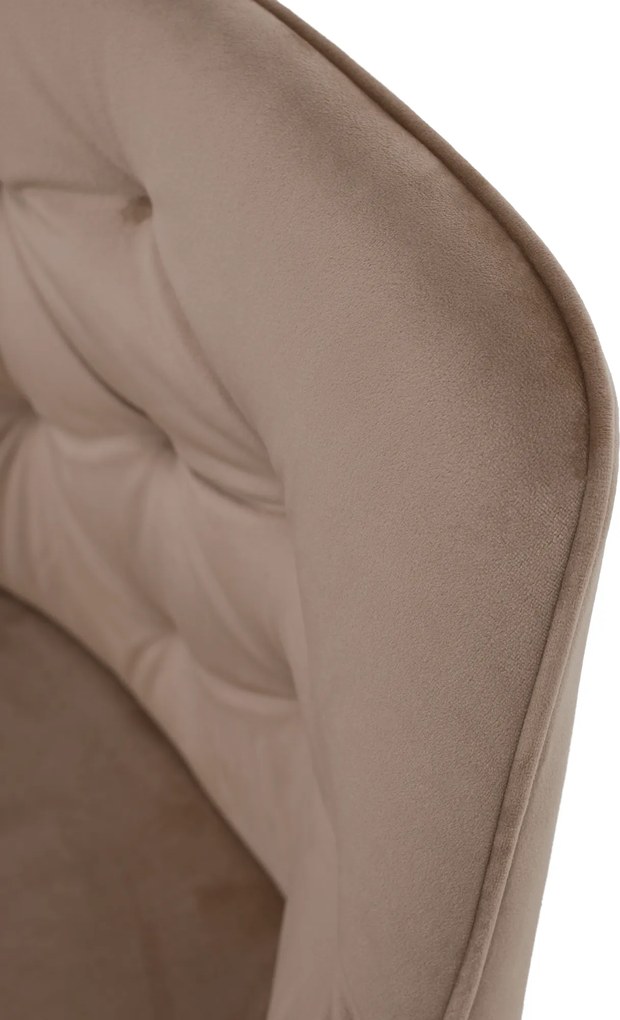 Fotel, világosbarna/fekete, VERIO