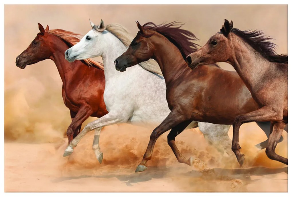Gario Vászonkép Gyönyöru lovak állománya Méret: 100 x 70 cm