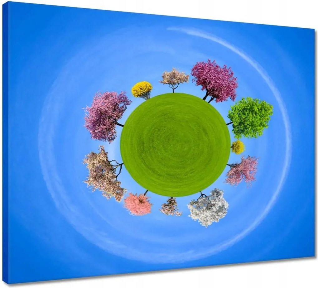 Vászonkép 50x40 Fa Fák Kilátás