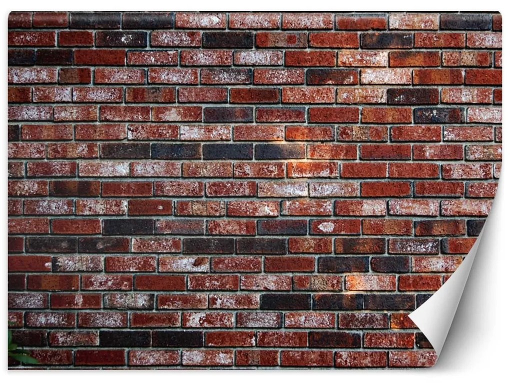 Gario Fotótapéta Vörös téglafal Anyag: Vlies, Méret: 250 x 175 cm
