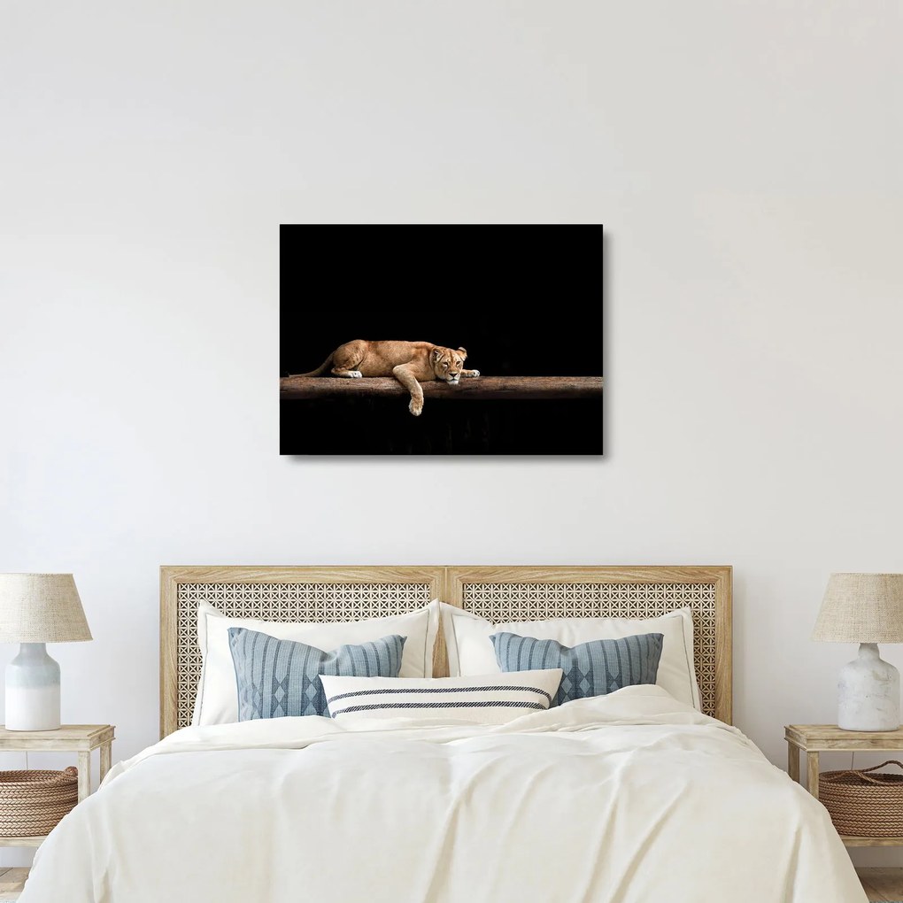 Üveg kép - Lioness (70x50 cm)