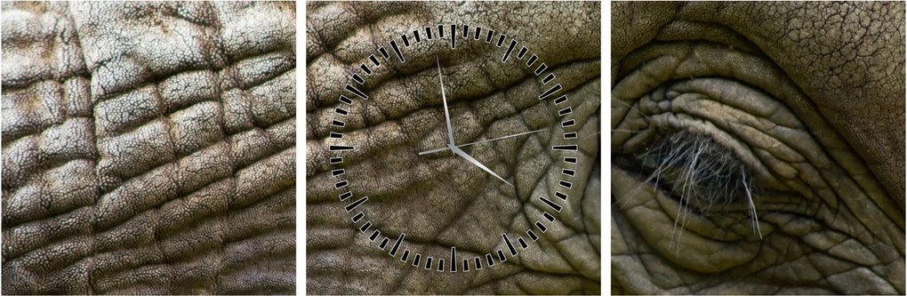 Kép - Közelkép az öreg elefánt szeméről (órával) (90x30 cm)