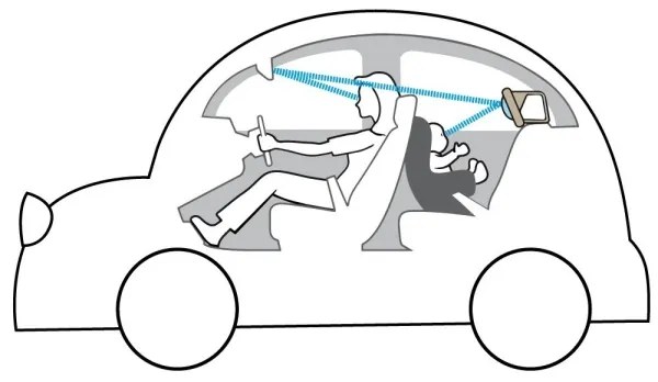 Taf Toys - Autós tükör koala