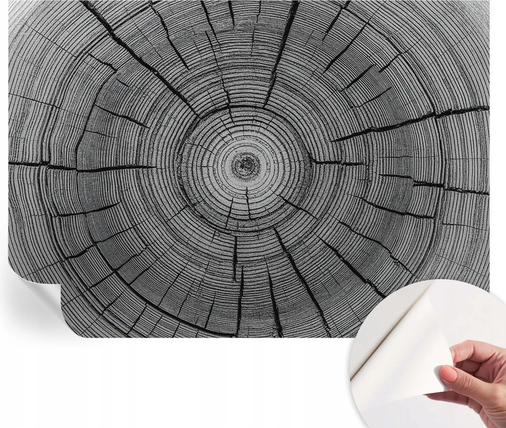 Fotótapéta Fali tapéta Hálószobába és Nappaliba Erdei harmónia 208x146 cm