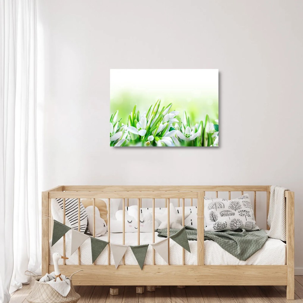 Kép - Hóvirág (üvegen) (70x50 cm)