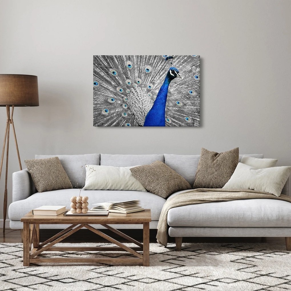 Kék páva képe (90x60 cm)