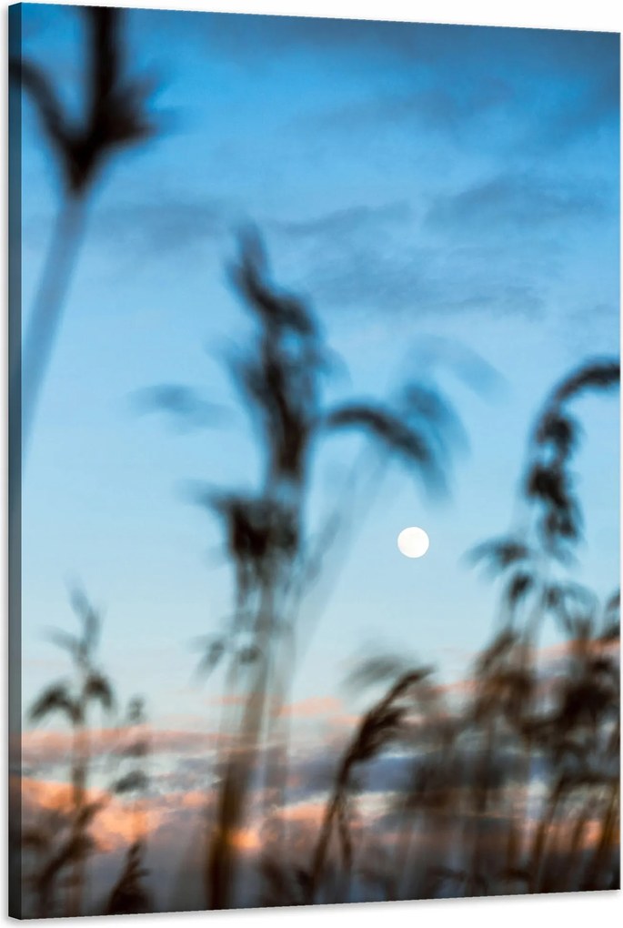 Vászonkép Természet Mező Rét Napfelkelte 60x90