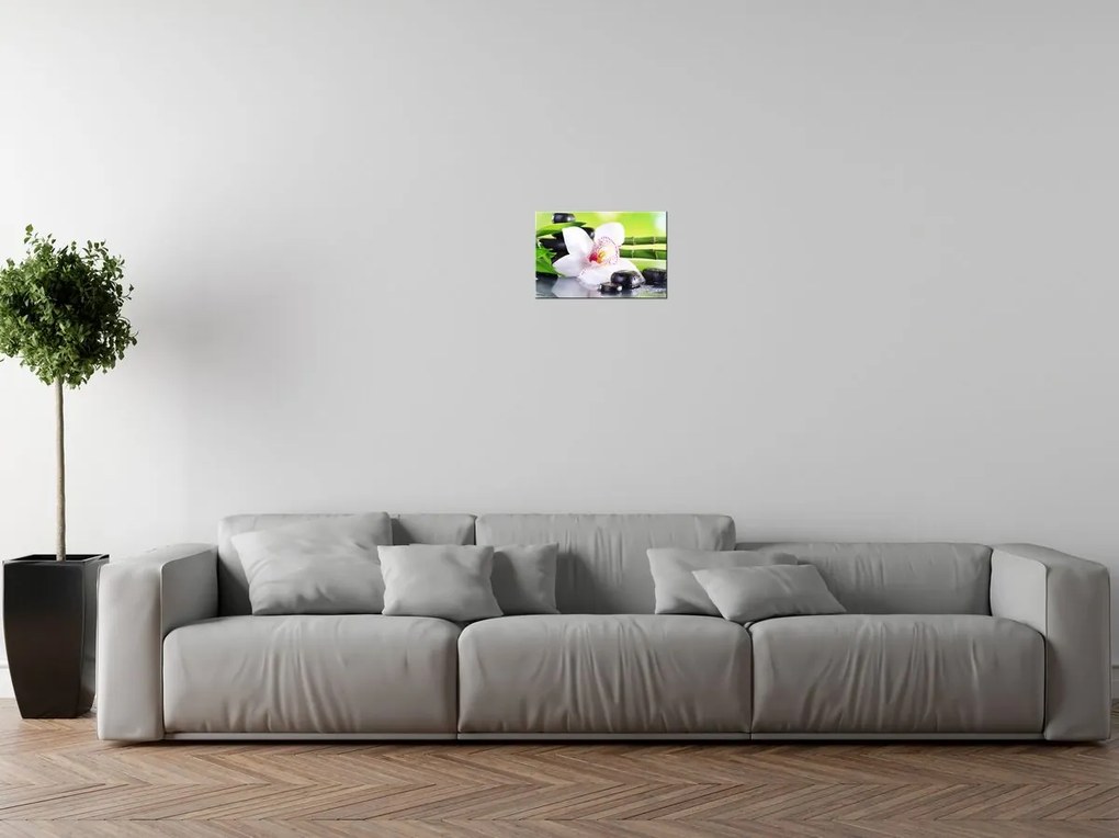 Gario Vászonkép Fehér orchidea és kövek Méret: 100 x 70 cm