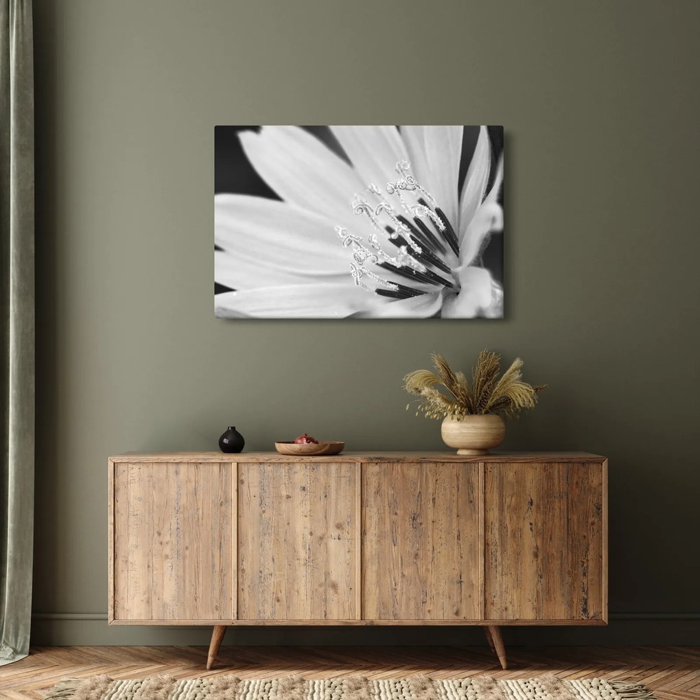 Kép - Fekete-fehér virág (90x60 cm)