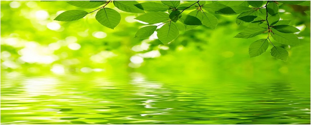 Védő üveg konyhai panel Zöld levelek XXL