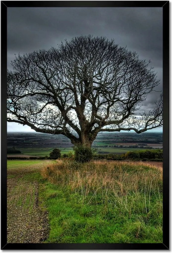 Poszterek keretben 40x60 Fa tájkép